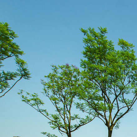 專業文化日用品vi設計公司