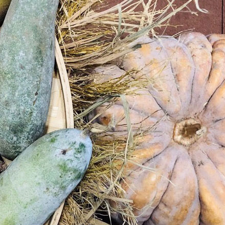 什么 vi設計公司適合敏感肌膚